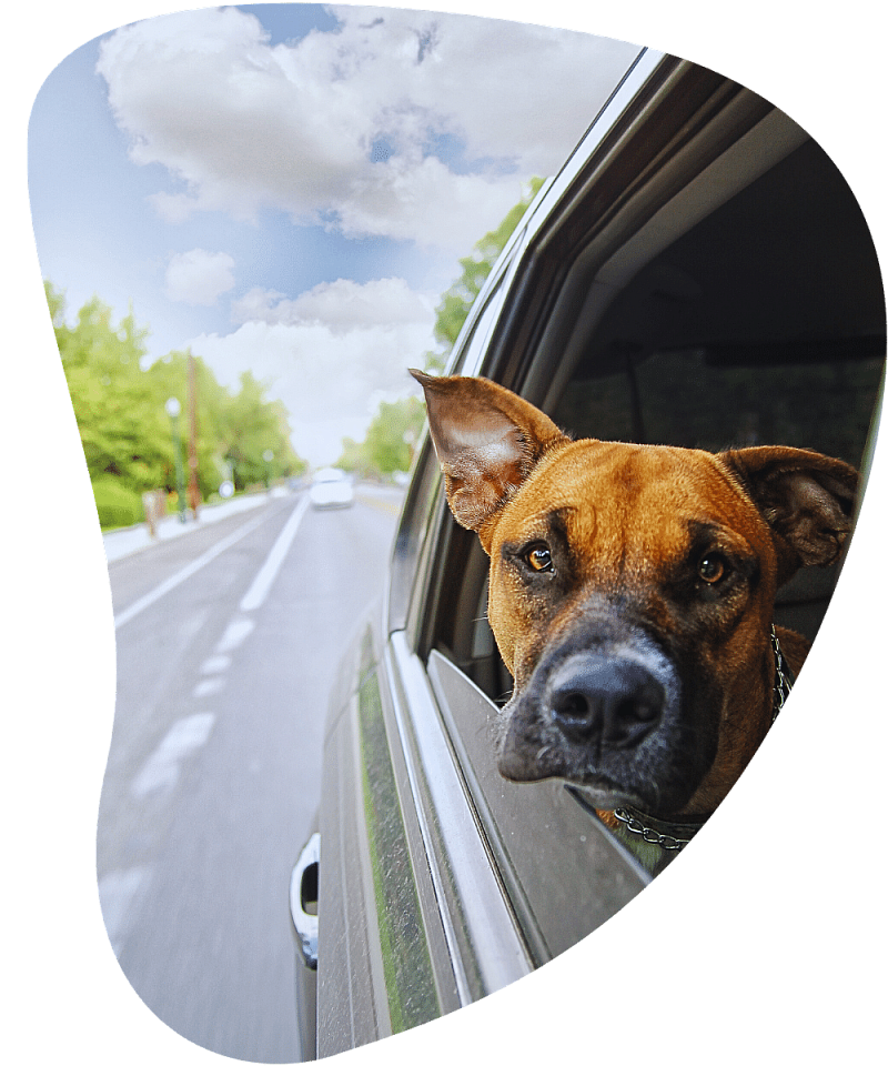 Бу автомобиль